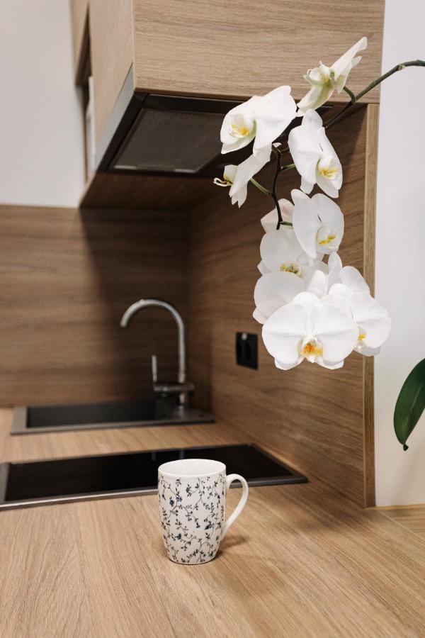 Vibrant Studios, - Sk Appartement Riga